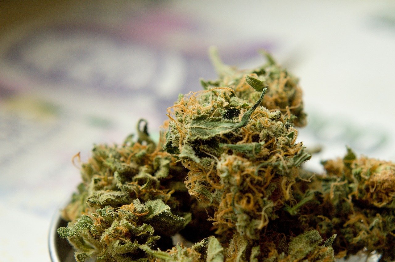 marijuana, drugs, herb-3669792.jpg